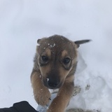 Entry image for Marley 