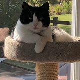 Entry image for Ella Boo