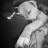 Entry image for Nya Forsythe 