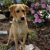 Entry image for Farsley