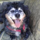 Entry image for Heri