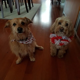 Entry image for Daisy and Eddie