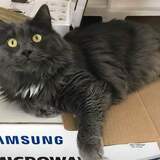 Entry image for Benjamin