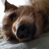 Entry image for Eddie