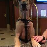 Entry image for Magna