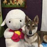 Entry image for Jersey