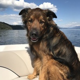 Entry image for Bailey