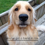 Entry image for Charlie 