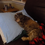 Entry image for Bella