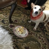 Entry image for Jackie