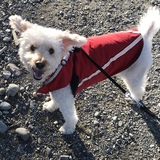 Entry image for Finley