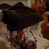 Entry image for Frankie