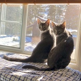 Entry image for Joey and Chandler