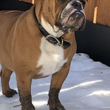 Entry image for Miss Meya