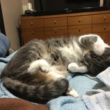 Entry image for Bubbles 