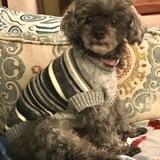 Entry image for Lucy