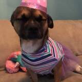 Entry image for Chloe