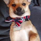 Entry image for Jack