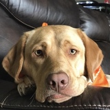 Entry image for Mabel