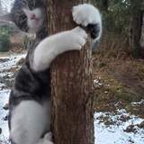 Entry image for Kevin Bacon