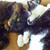 Entry image for Tina and Max