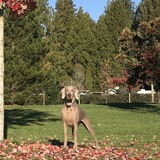 Entry image for George