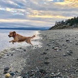 Entry image for Aurora 