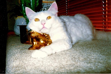 Entry image for Ausa. Clicking this image will show a larger photo