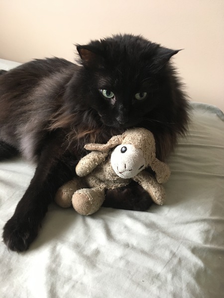 Entry image for Psycho. Clicking this image will show a larger photo