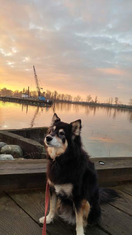 Entry image for kiwi. Clicking this image will show a larger photo