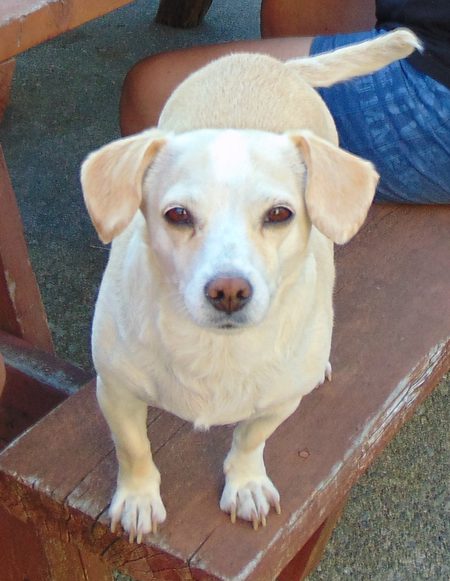 Entry image for Megan. Clicking this image will show a larger photo