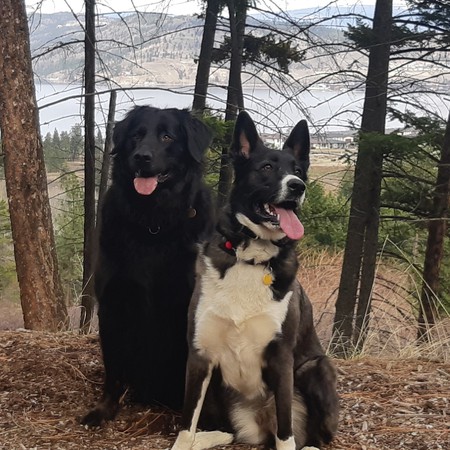 Entry image for Tia and Gracie. Clicking this image will show a larger photo