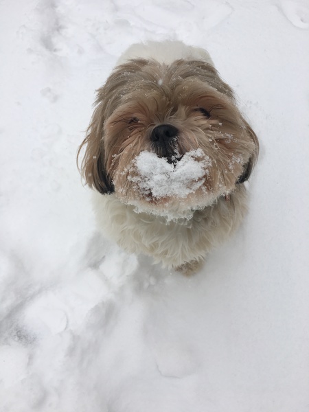 Entry image for Bob. Clicking this image will show a larger photo