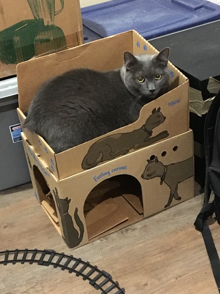 Entry image for Lex. Clicking this image will show a larger photo