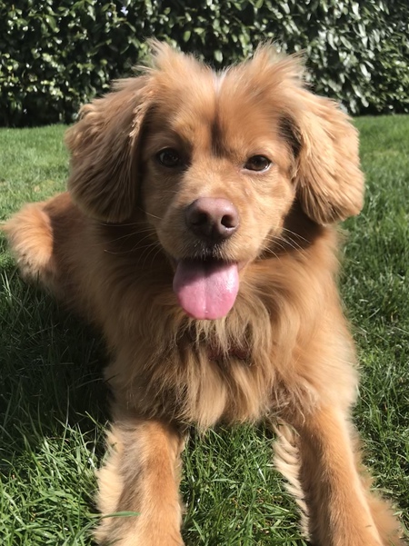 Entry image for Arthur. Clicking this image will show a larger photo