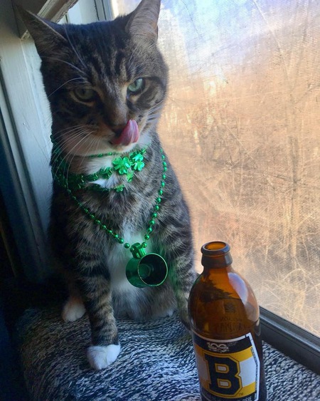 Entry image for Mr. Beans . Clicking this image will show a larger photo