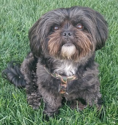 Entry image for UNO. Clicking this image will show a larger photo