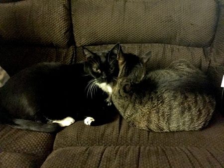 Entry image for Boots and Jimmy. Clicking this image will show a larger photo