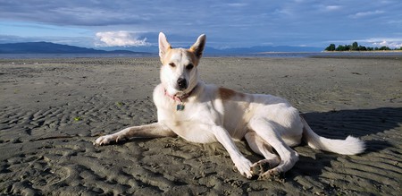 Entry image for Lexi. Clicking this image will show a larger photo