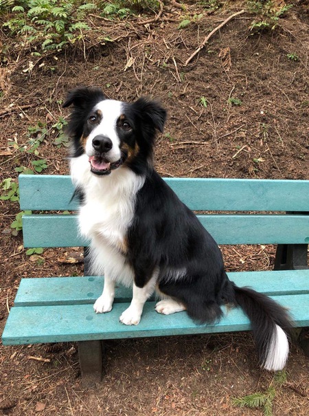 Entry image for Bauer. Clicking this image will show a larger photo