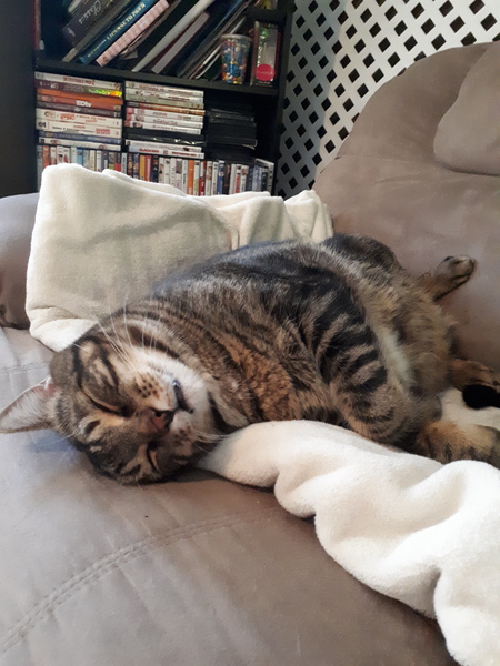 Entry image for Peter. Clicking this image will show a larger photo