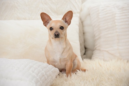 Entry image for Stewart. Clicking this image will show a larger photo