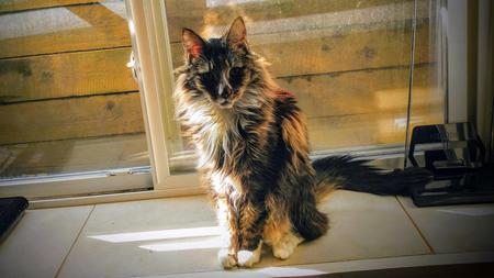 Entry image for Steven. Clicking this image will show a larger photo