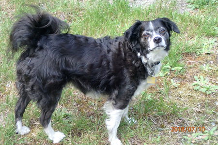 Entry image for Abigail Crowder Olsen Wyenberg...aka Abbie!!. Clicking this image will show a larger photo