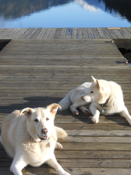 Entry image for Tula and Alister. Clicking this image will show a larger photo