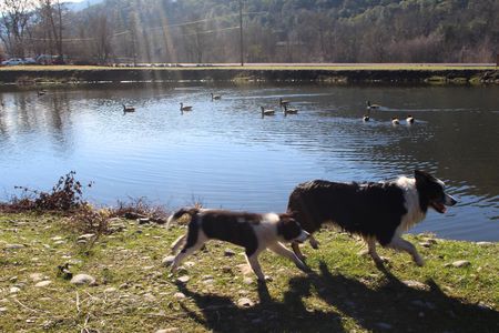 Entry image for Cooper and Chase. Clicking this image will show a larger photo