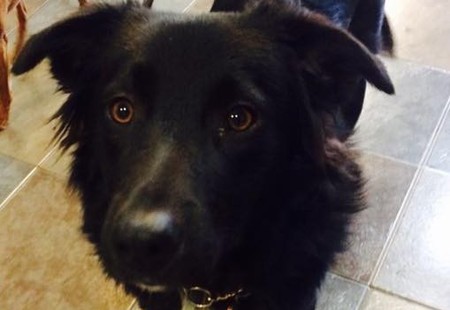 Entry image for Chloe. Clicking this image will show a larger photo