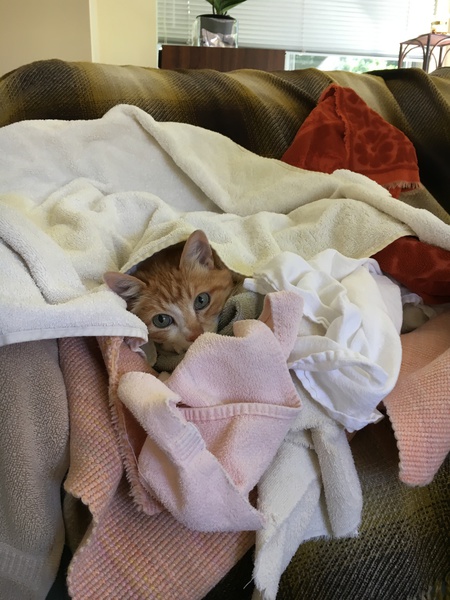 Entry image for Topher. Clicking this image will show a larger photo