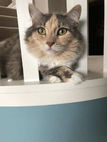 Entry image for June. Clicking this image will show a larger photo