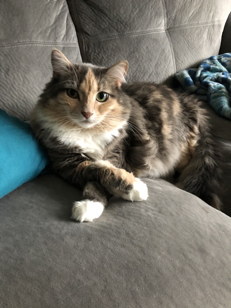 Entry image for June. Clicking this image will show a larger photo